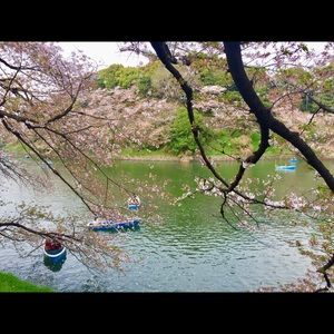 Meet your Posher, Wendy